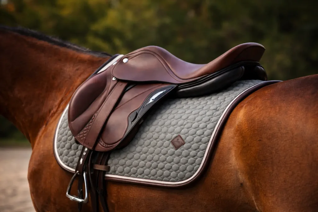 image baniere selles