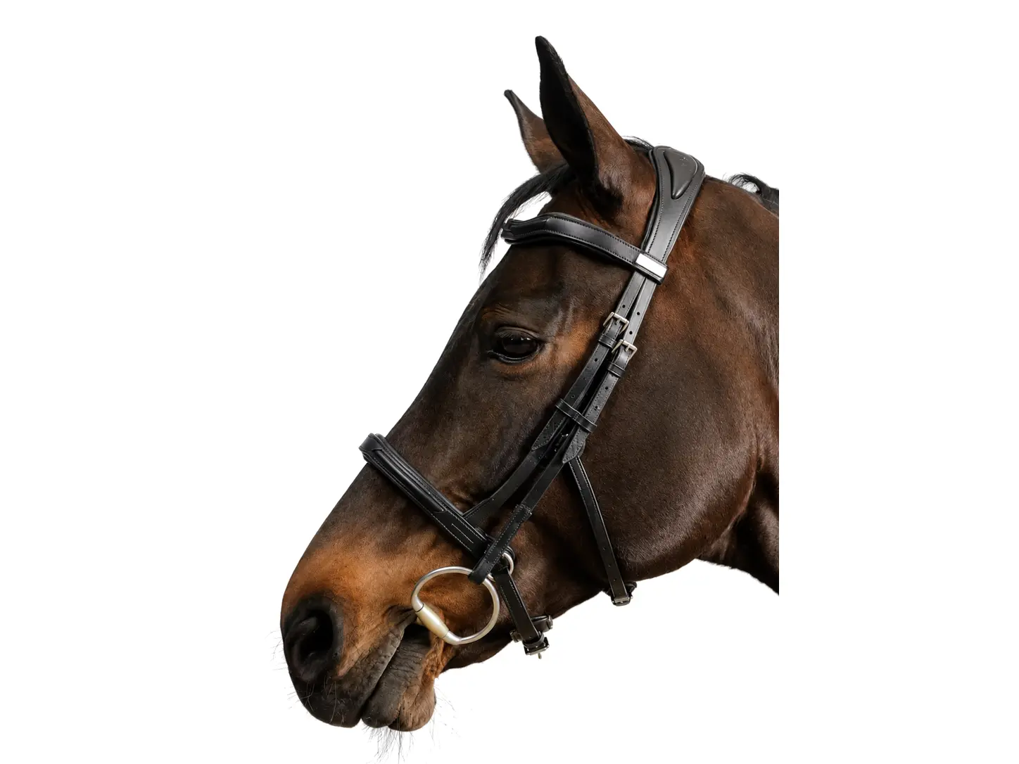 Comment choisir un filet pour son cheval ? filet équitation cuir muserolle française cheval et poney 900