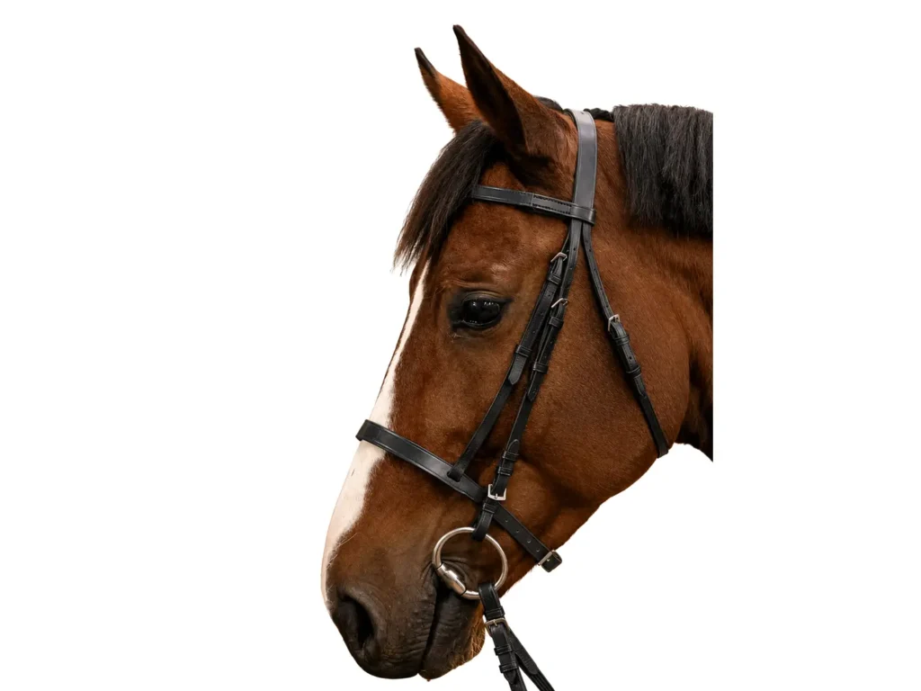 Comment choisir un filet pour son cheval ? filet et rênes équitation cuir muserolle française cheval et poney 100