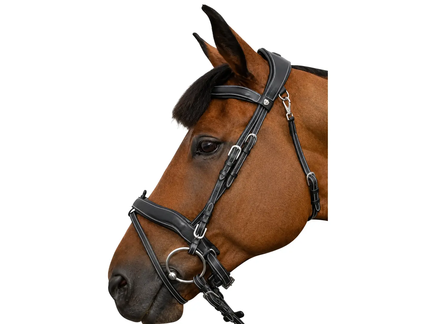 Comment choisir un filet pour son cheval ? flags&cup bridon combiné comfort