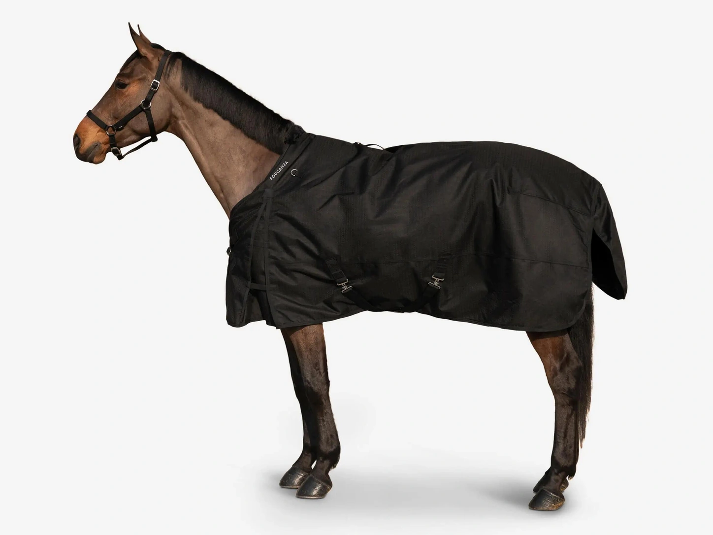 Cheval portant la couverture Fouganza Allweather 200 g noire, vue de profil.