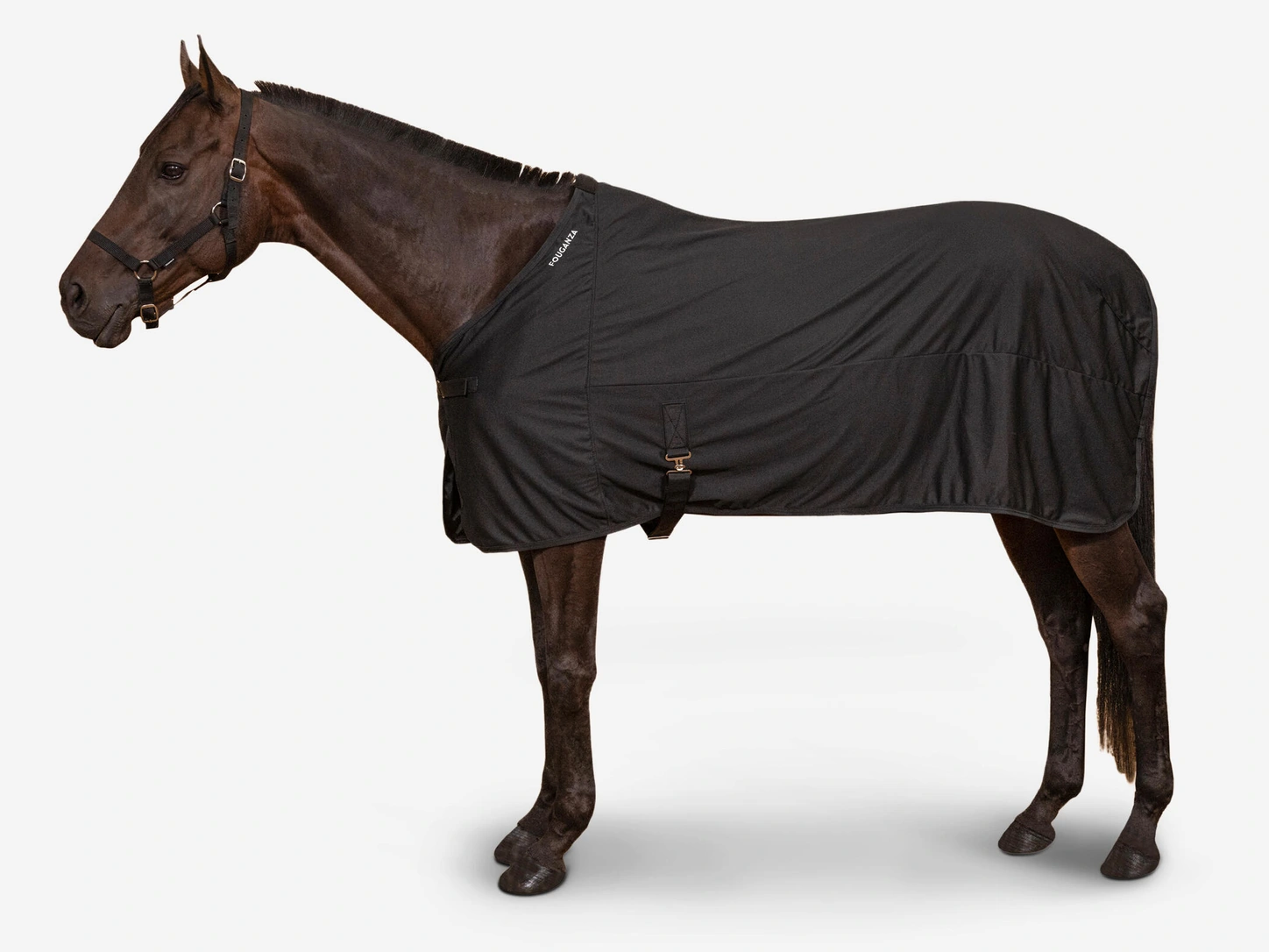 Cheval portant la chemise séchante légère Fouganza noire, vue de profil.