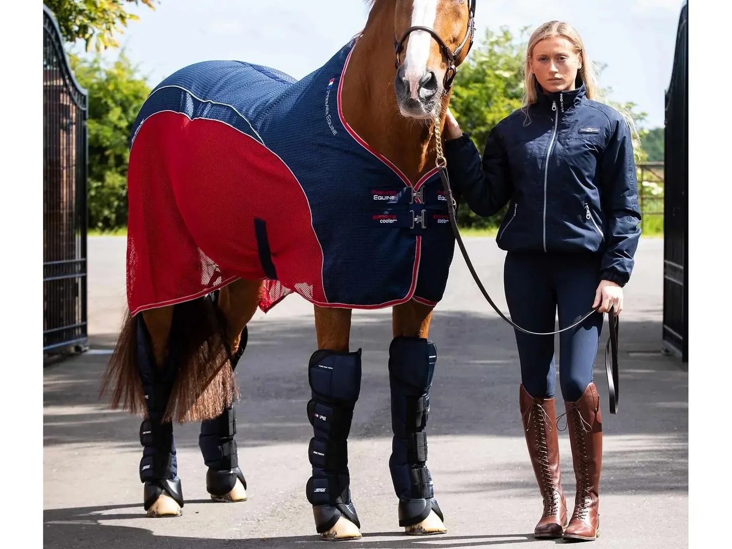 Cheval portant quatre protections de transport hautes bleu marine Premier Equine Ballistic Pro-Tech.