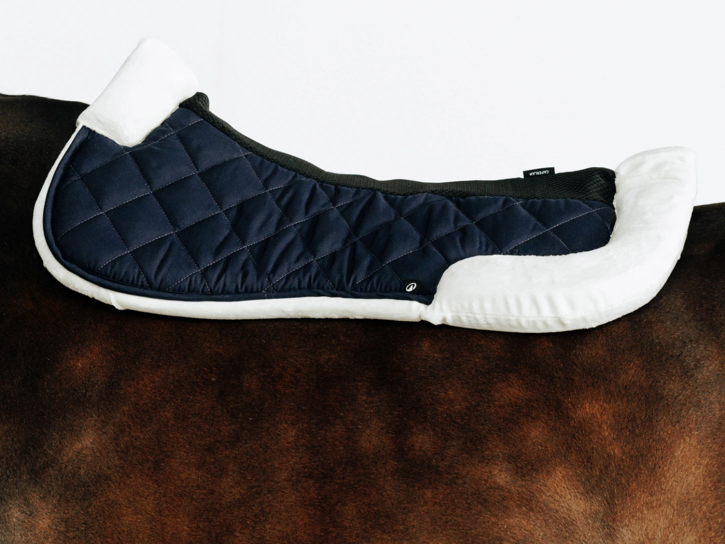 Amortisseur Fouganza 500 bleu cosmos à bordure blanche, posé sur le dos d’un cheval.