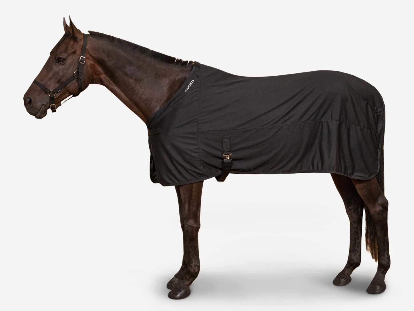 Cheval bai brun portant la chemise séchante légère Fouganza en mesh noir, de profil sur fond studio clair.