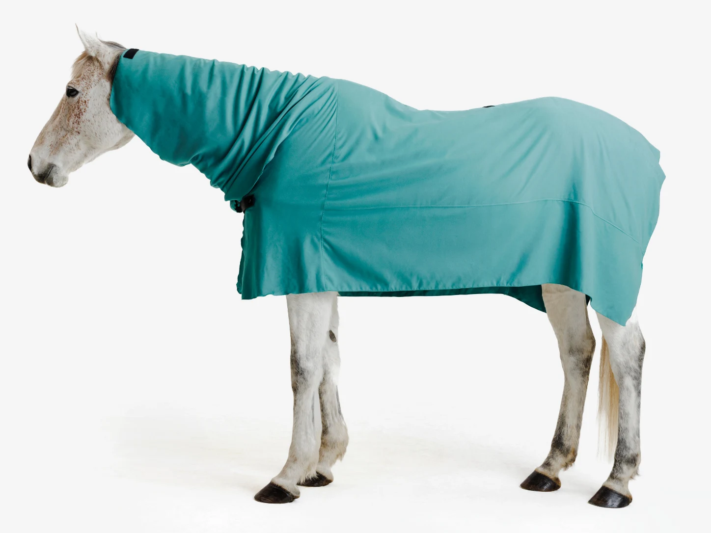 Cheval gris portant la chemise séchante intégrale Fouganza en microfibre vert cèdre, de profil sur fond studio clair.