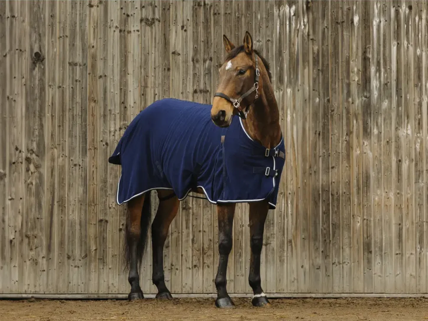 Cheval bai portant la chemise séchante Equithème Vague en polaire marine devant un mur de bois.