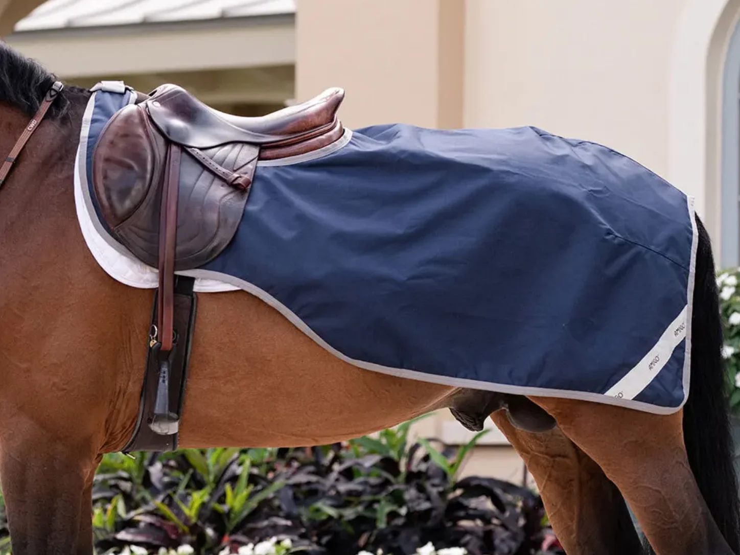 Couvre-reins : lequel choisir pour son cheval ? Couvre-reins Horseware Amigo Ripstop Exercise bleu marine à bord gris, porté par un cheval bai sellé.