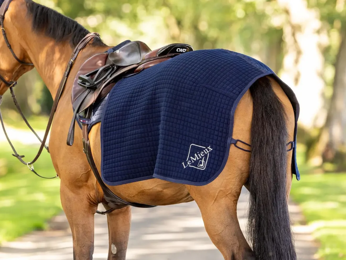 Couvre-reins : lequel choisir pour son cheval ? Couvre-reins LeMieux Arika Clima-Tek bleu marine matelassé, porté par un cheval bai vu de trois quarts arrière.